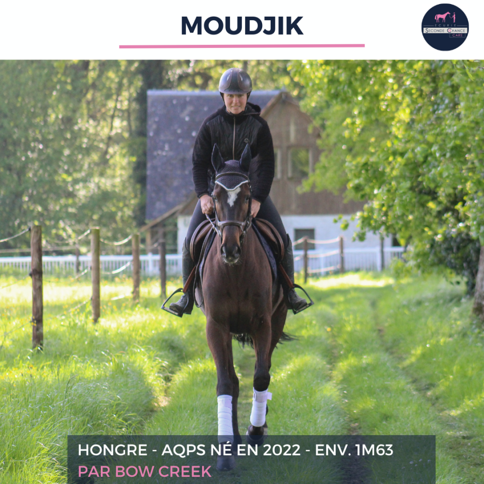 MOUDJIK - AQPS - 4 ANS