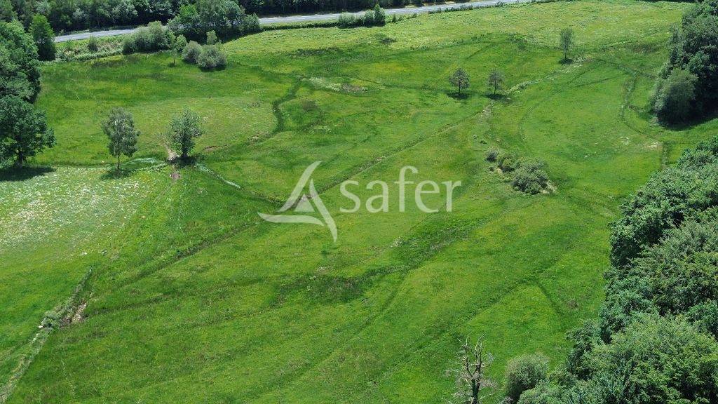 Propri&eacute;t&eacute; d'&eacute;levage d'environ 113,5 ha sur le Plateau de Mill