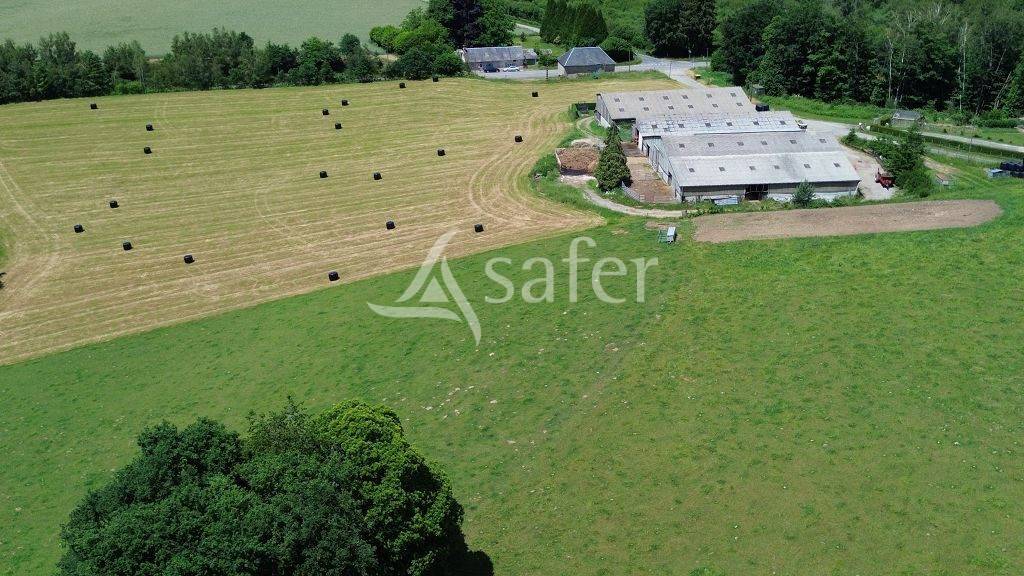 Propri&eacute;t&eacute; d'&eacute;levage d'environ 113,5 ha sur le Plateau de Mill