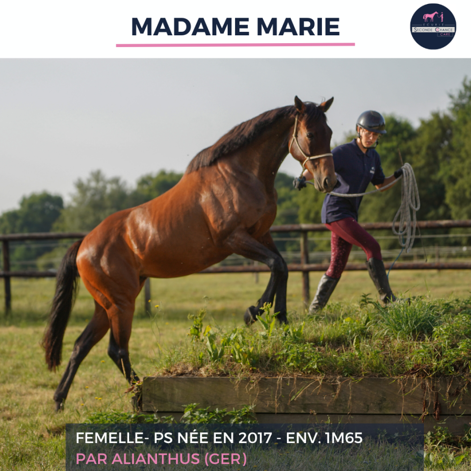MADAME MARIE - PS - 9 ANS