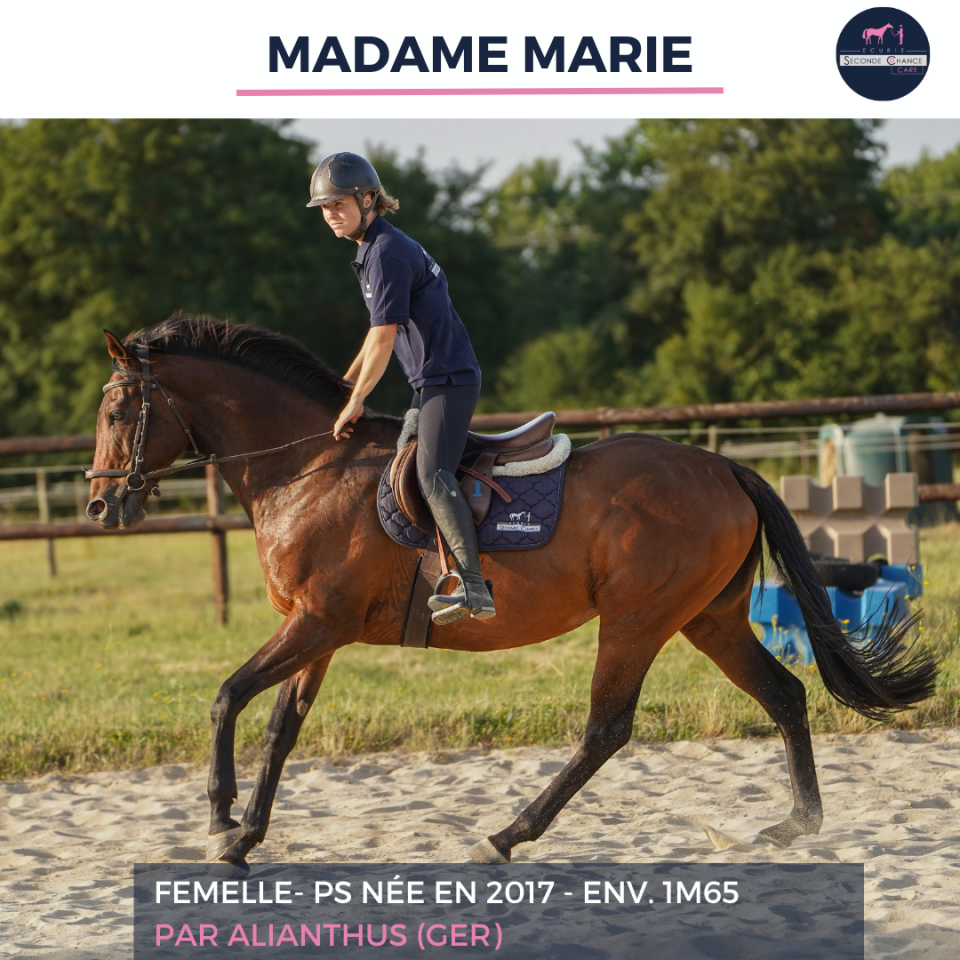 MADAME MARIE - PS - 9 ANS