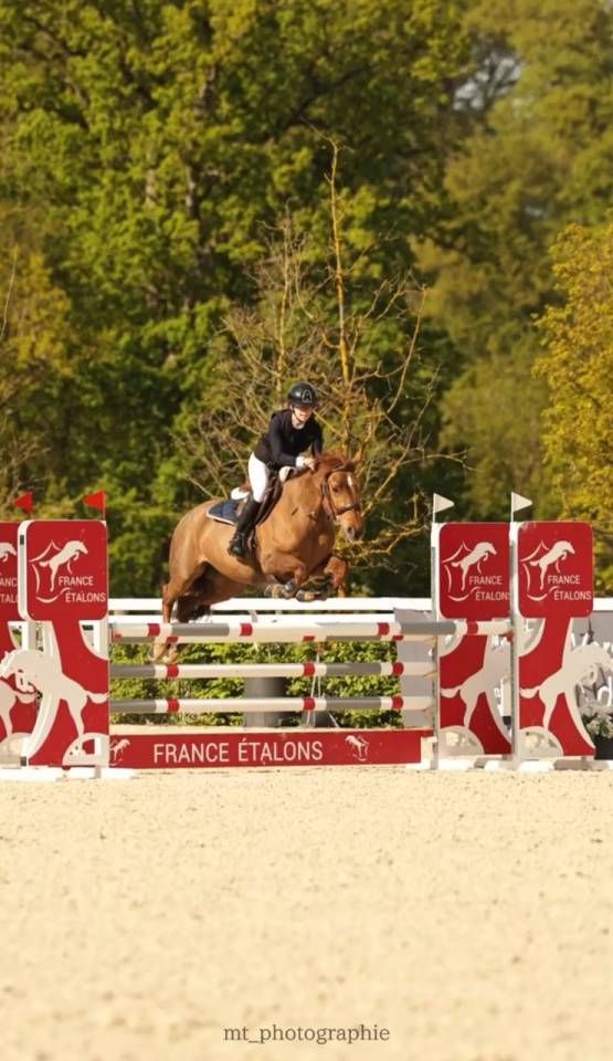 Ponette de sport D &agrave; louer.
