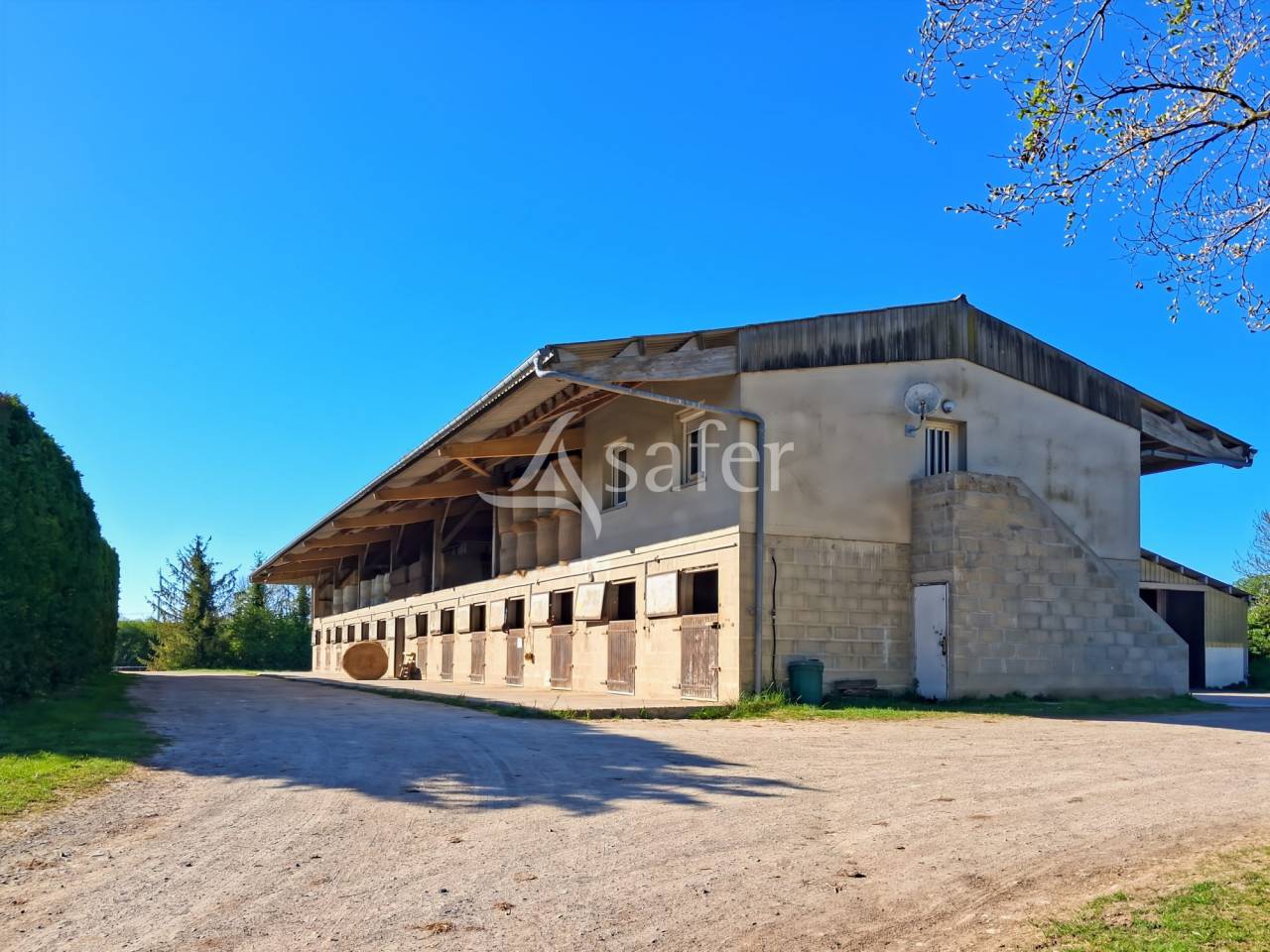 Centre d'entrainement trotteurs