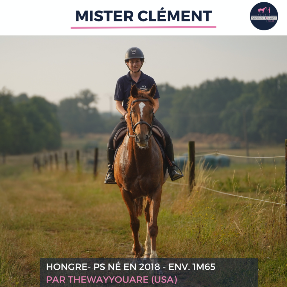 MISTER CLEMENT - PS - 8 ANS