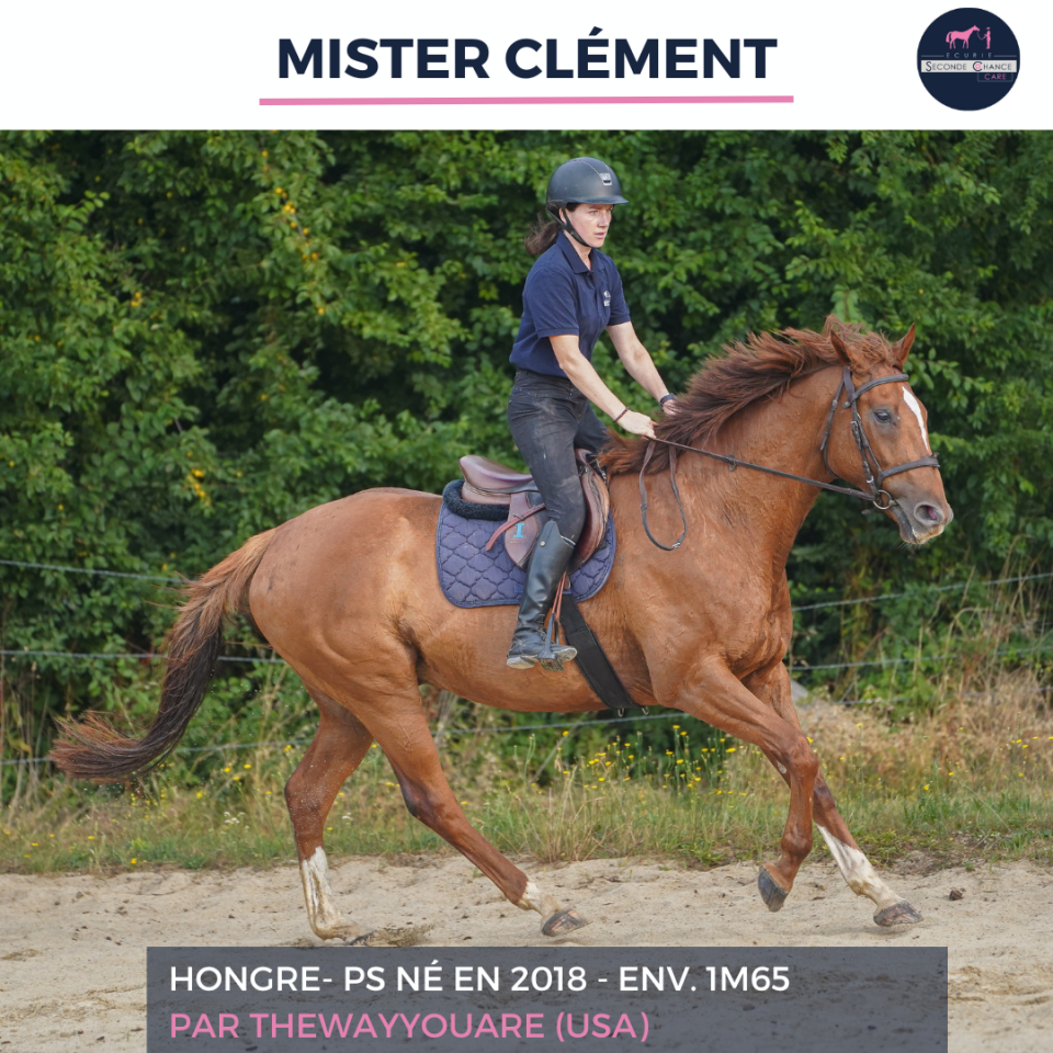 MISTER CLEMENT - PS - 8 ANS