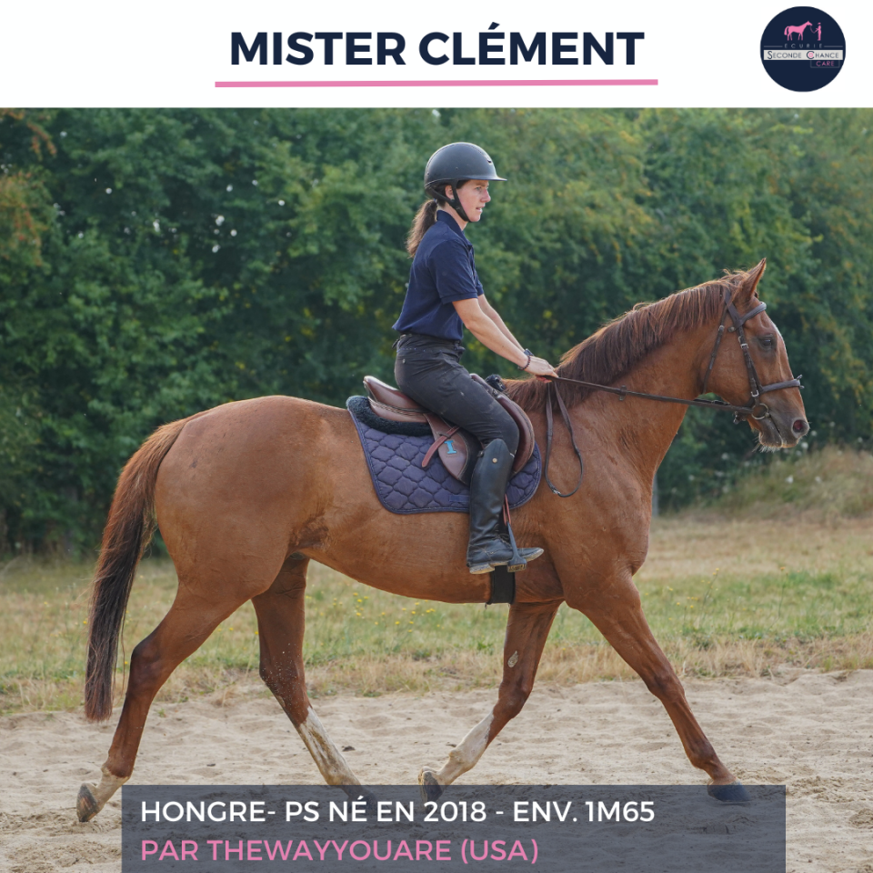 MISTER CLEMENT - PS - 8 ANS