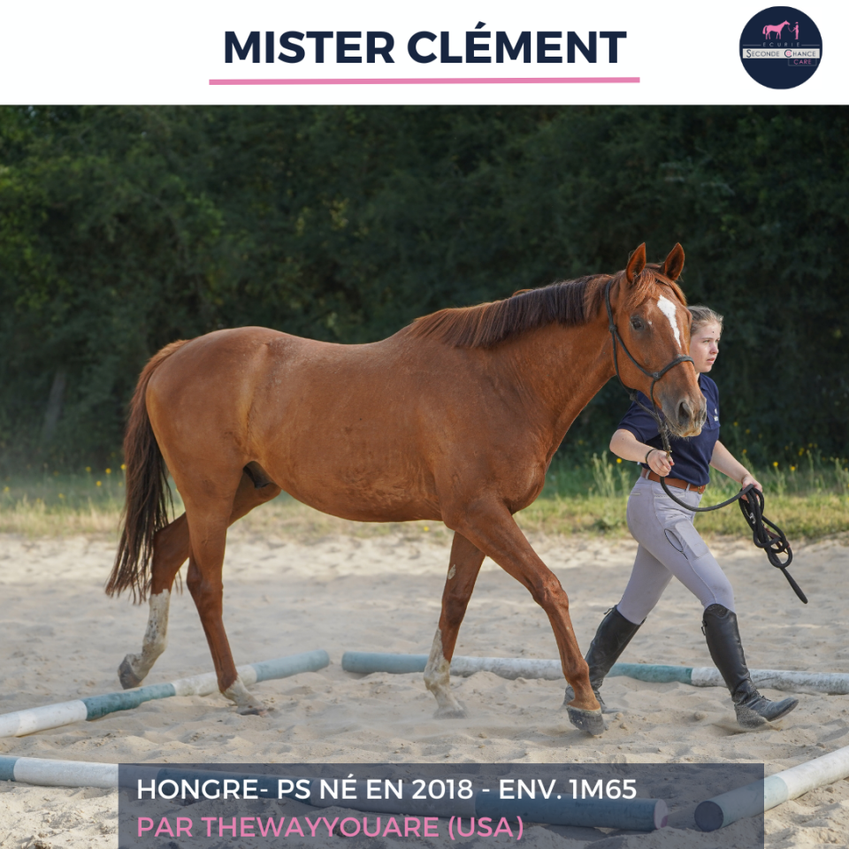 MISTER CLEMENT - PS - 8 ANS