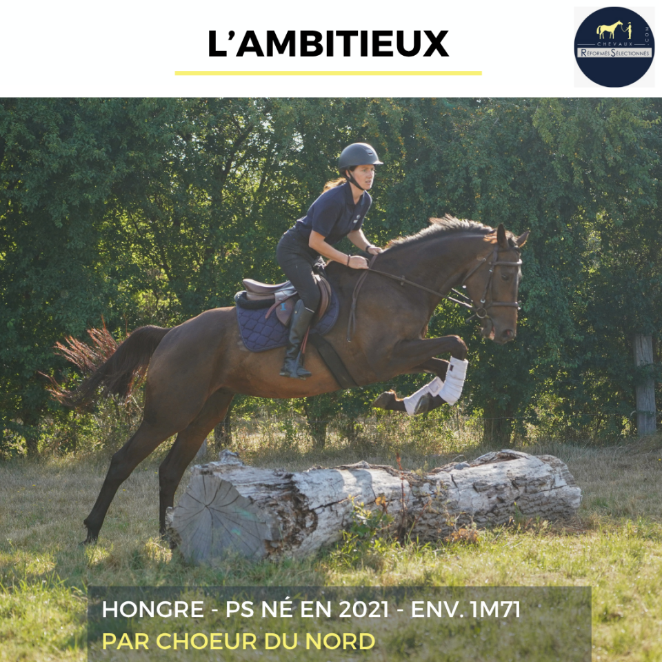 L'AMBITIEUX - PS - 5 ANS 