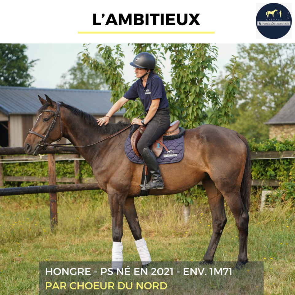 L'AMBITIEUX - PS - 5 ANS 