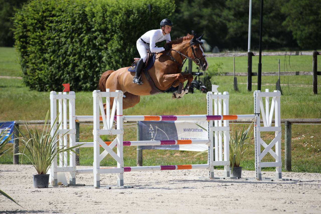 JEXICA DU PARC TOP 7  SELLE FRANCAIS MARE SOCPE 145 150