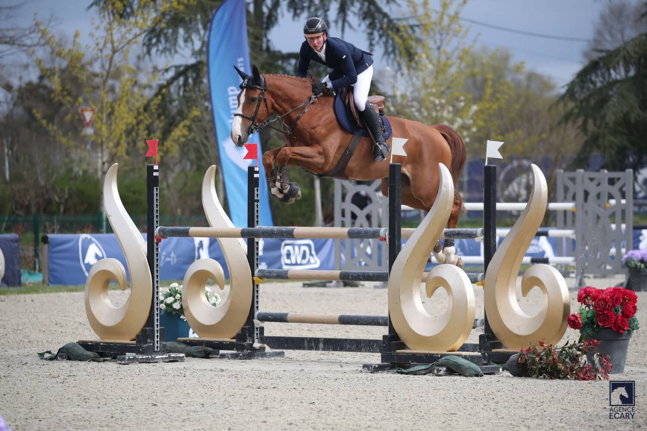 JEXICA DU PARC TOP 7  SELLE FRANCAIS MARE SOCPE 145 150