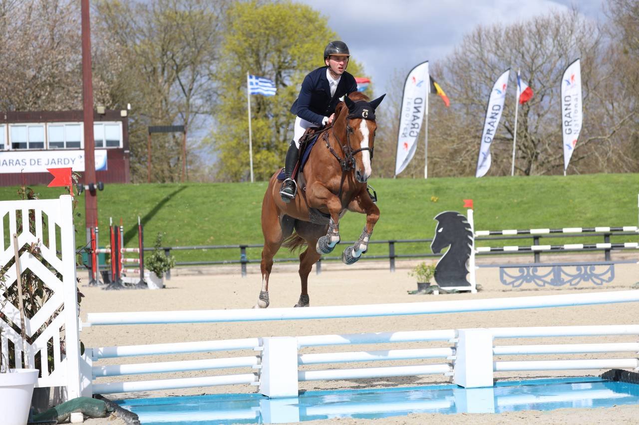 JEXICA DU PARC TOP 7  SELLE FRANCAIS MARE SOCPE 145 150