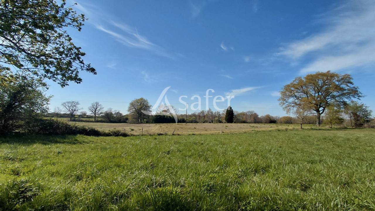 Fermette &agrave; r&eacute;nover sur environ 5 ha