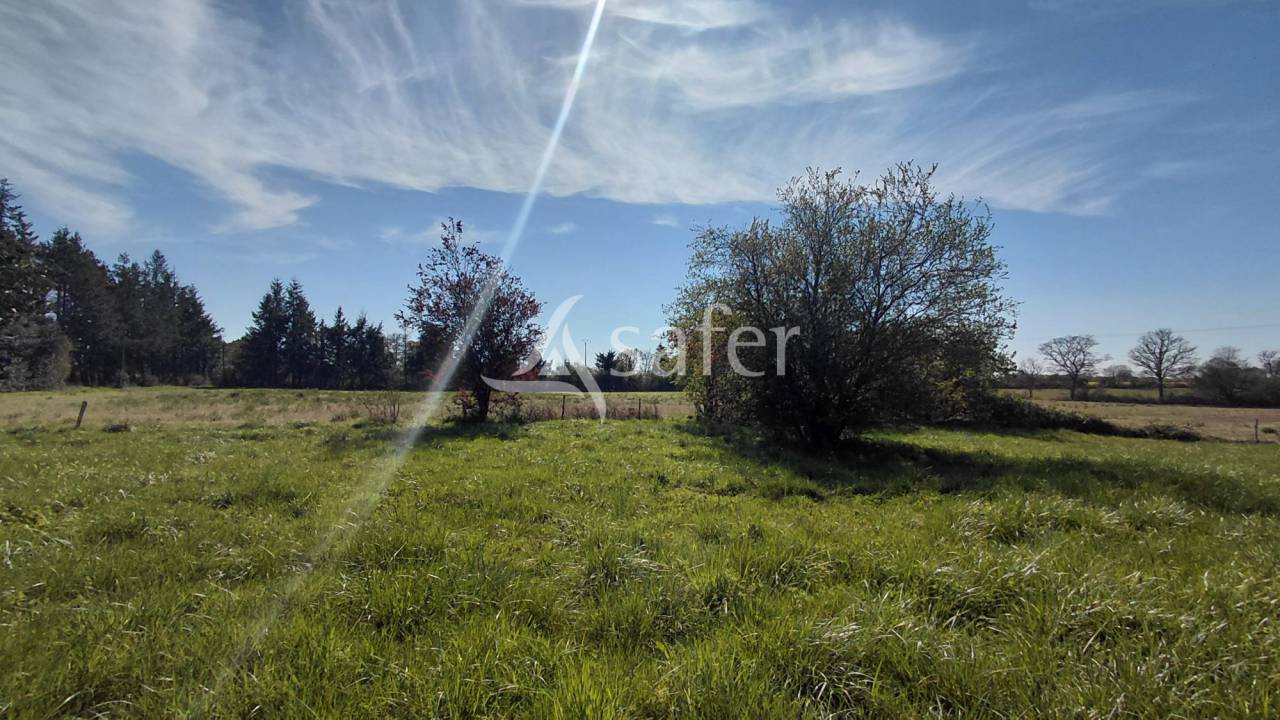 Fermette &agrave; r&eacute;nover sur environ 5 ha