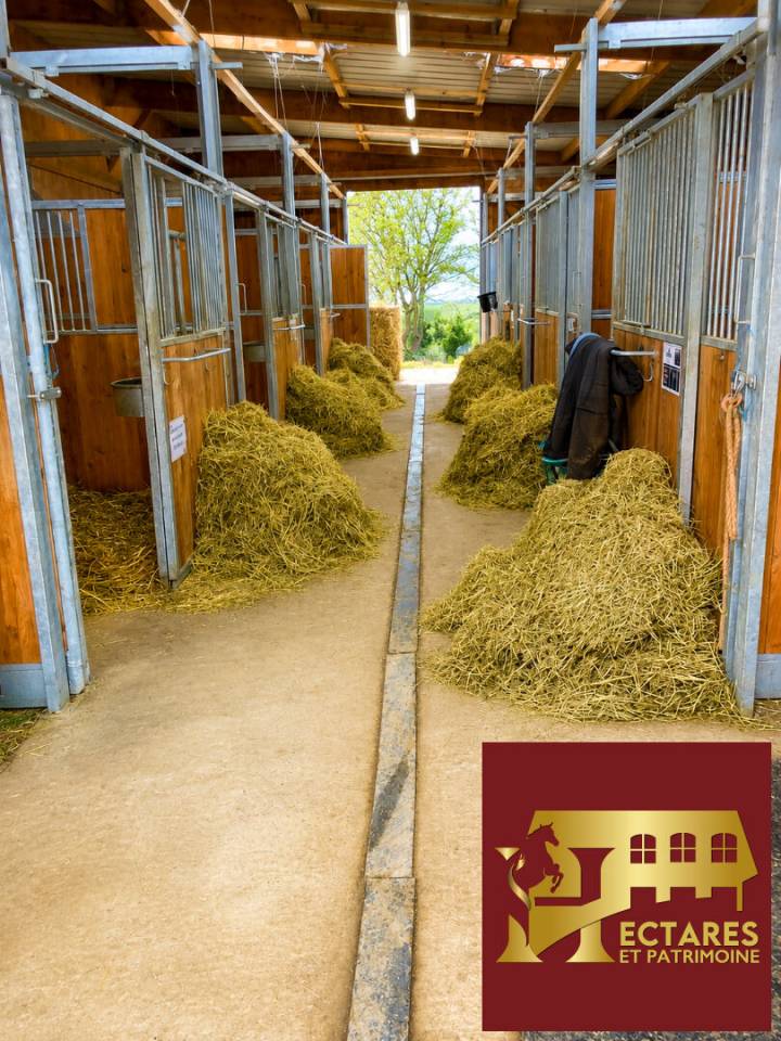 PROPRI&Eacute;T&Eacute; &Eacute;QUESTRE SUR 10 HECTARES  &Eacute;CURIE 8 BOXES  CARRI&Egrave;RE