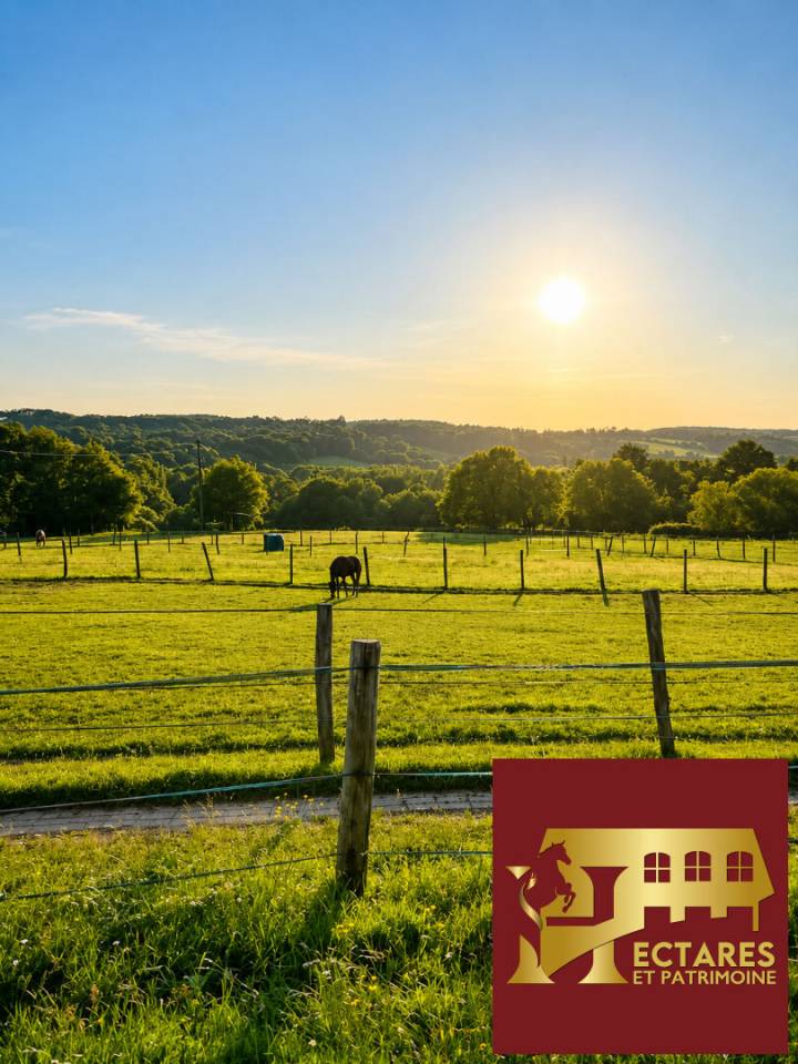 PROPRI&Eacute;T&Eacute; &Eacute;QUESTRE SUR 10 HECTARES  &Eacute;CURIE 8 BOXES  CARRI&Egrave;RE