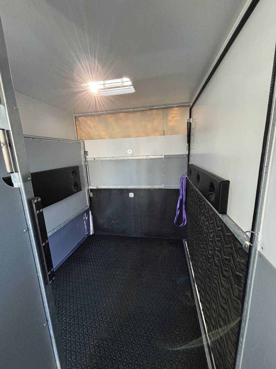 Renault Master L3 stalle caisse chevaux neuve 