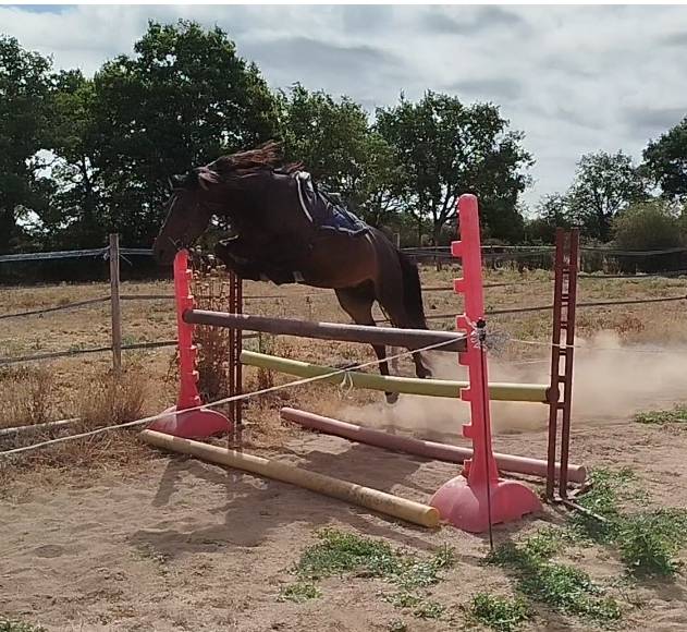 ponette 143 cms - 7 ans