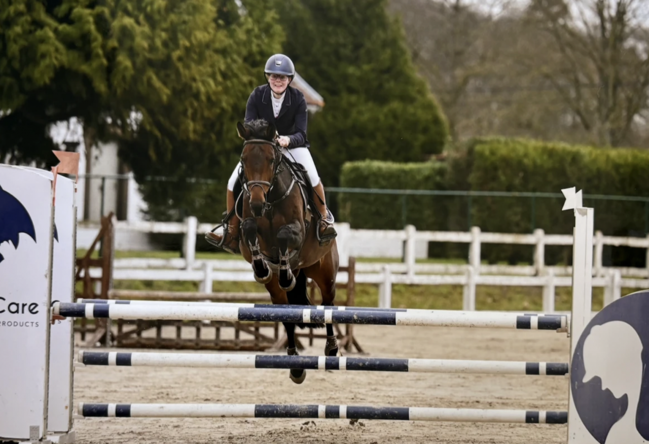 Belle jument de saut d'obstacles ou jument de loisirs