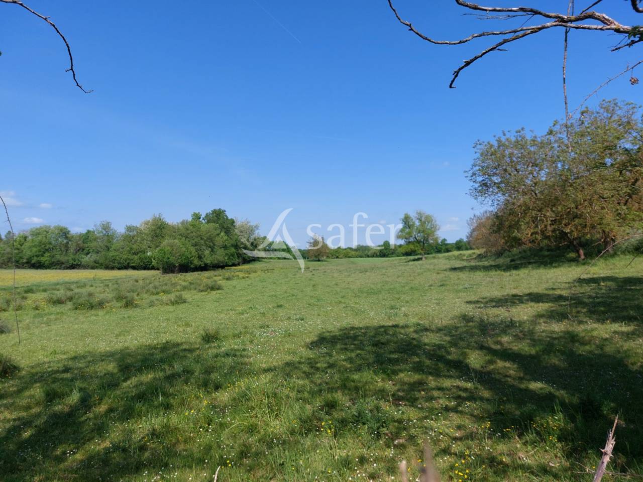Exploitation d'&eacute;levage bio sur 35ha, ouest Dordogne
