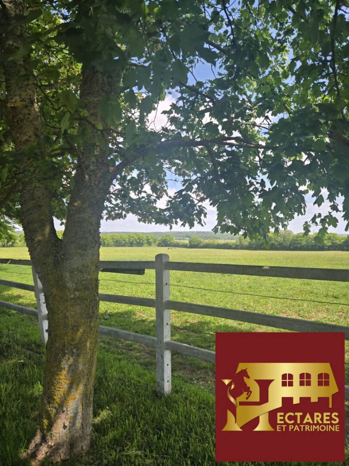HARAS NORMAND SUR 73 HA