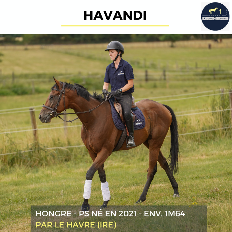 HAVANDI - PS - 5 ANS 