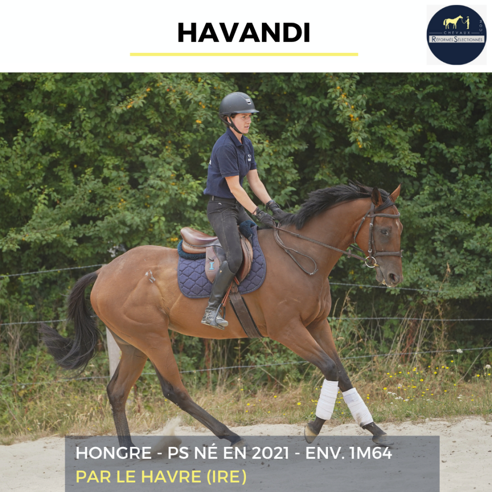 HAVANDI - PS - 5 ANS 