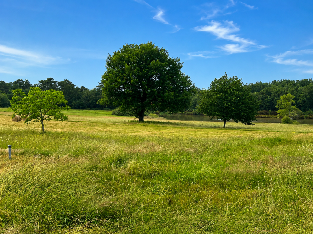 Dordogne - domaine avec g&icirc;tes sur 28 ha
