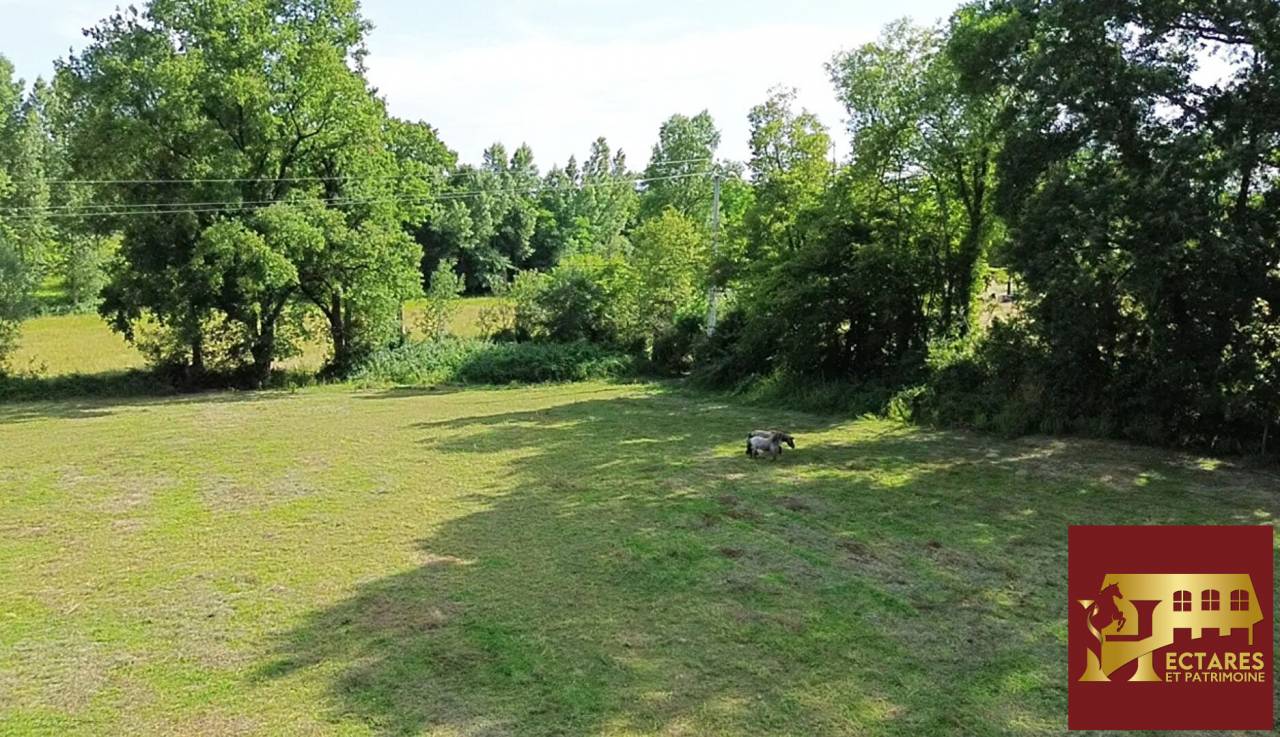 Demeure XIXe r&eacute;nov&eacute;e 2,8 hectares