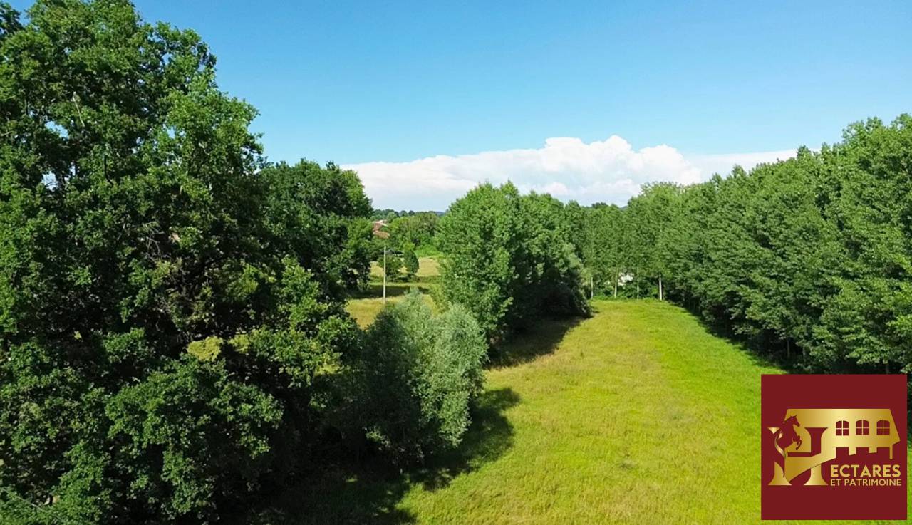 Demeure XIXe r&eacute;nov&eacute;e 2,8 hectares
