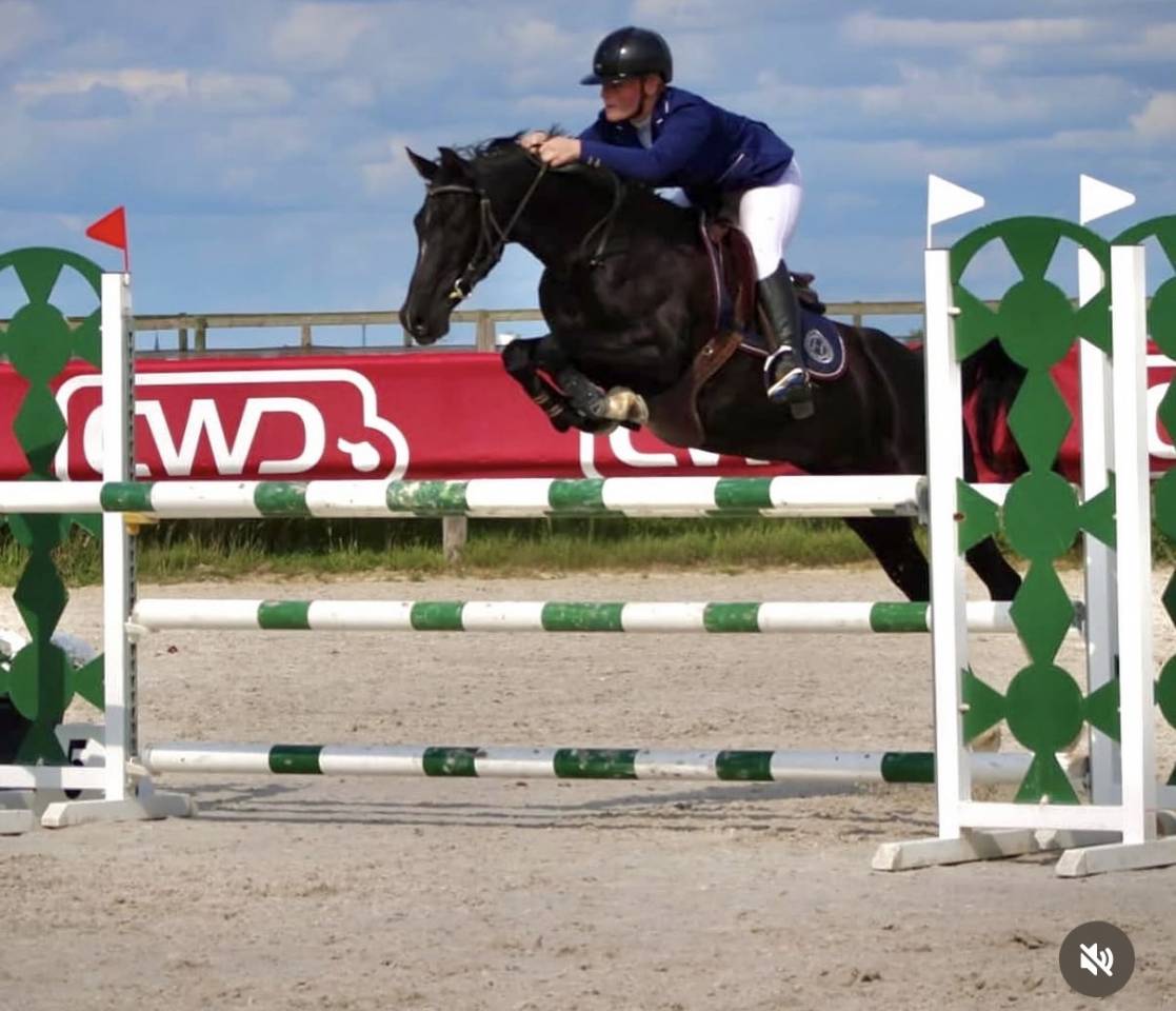 A louer - ponette de sport et loisir 