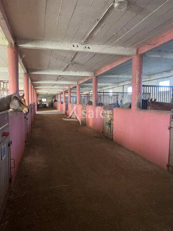 Centre d'entrainement pour chevaux - 11 ha
