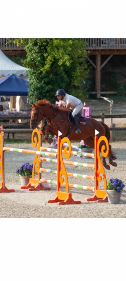 TOP HONGRE DE 8 ANS 