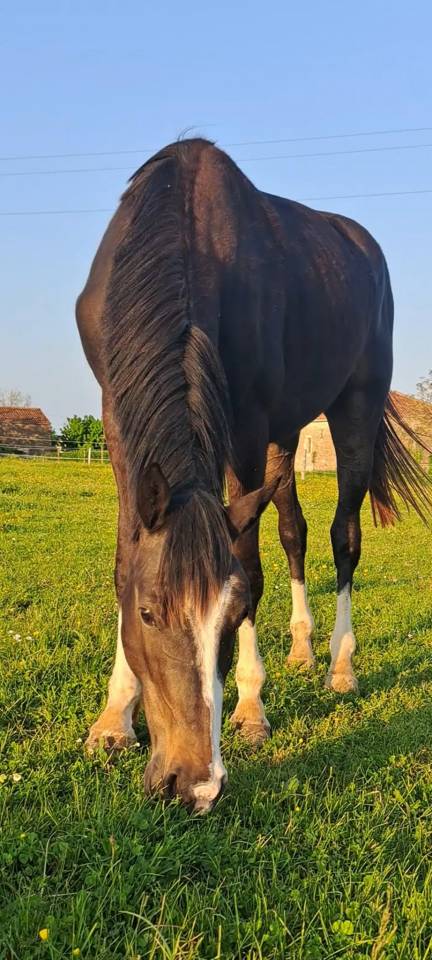 MURACO D ASTREE 4 ANS 