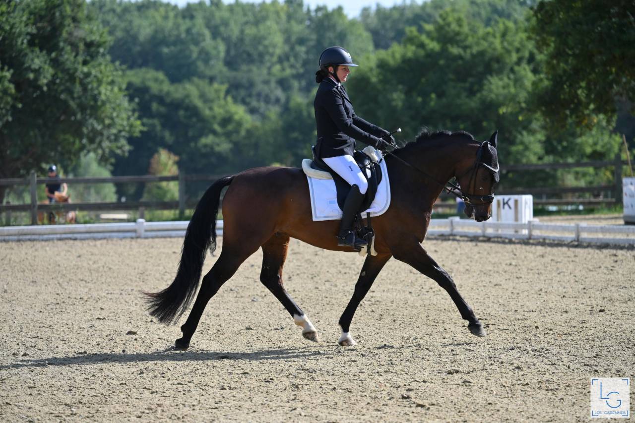 Cheval Dressage 6 ans 