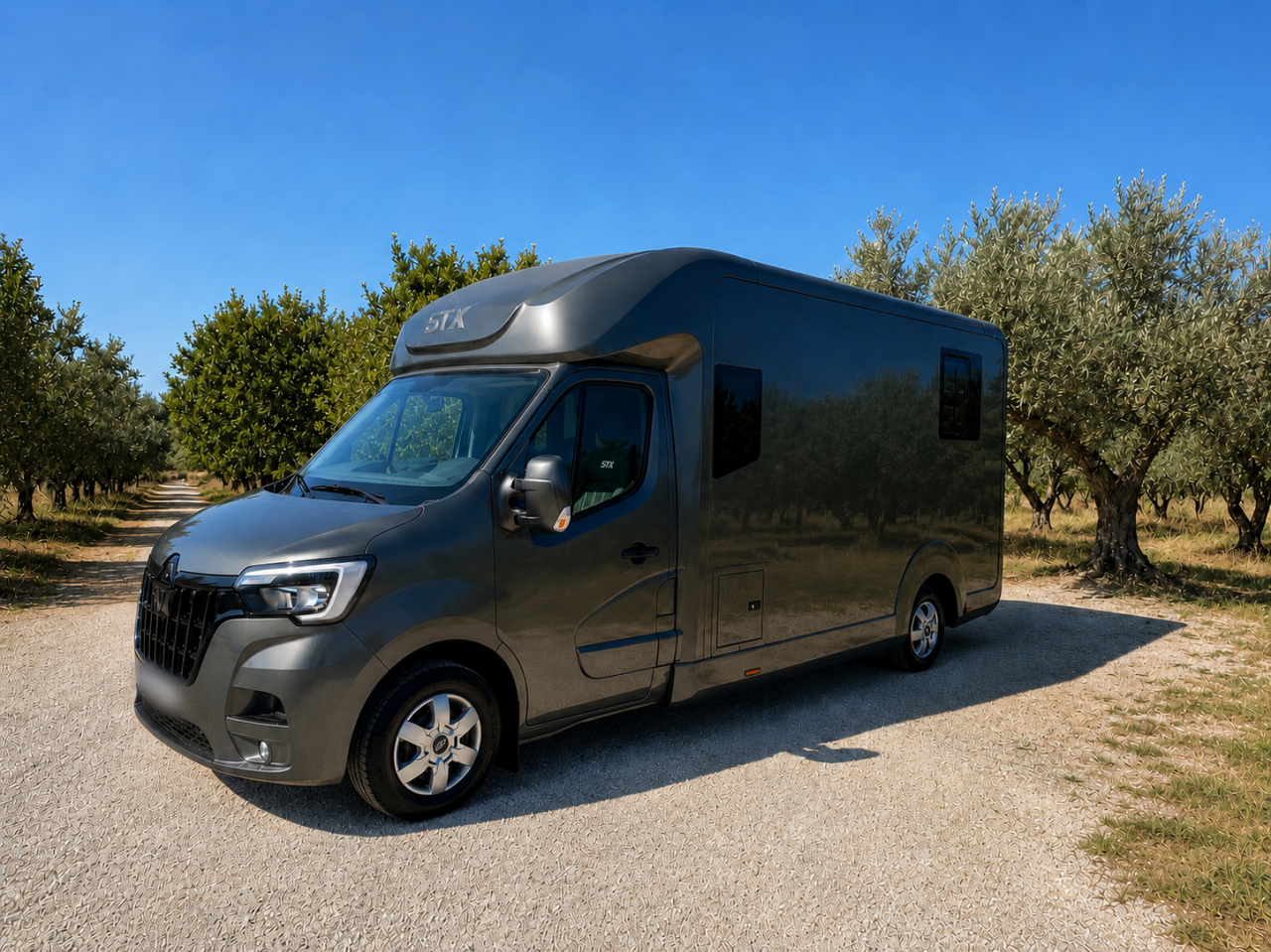 CAMION VL STX 2 HORSES HARAS LONG CABINE 5 PLACES