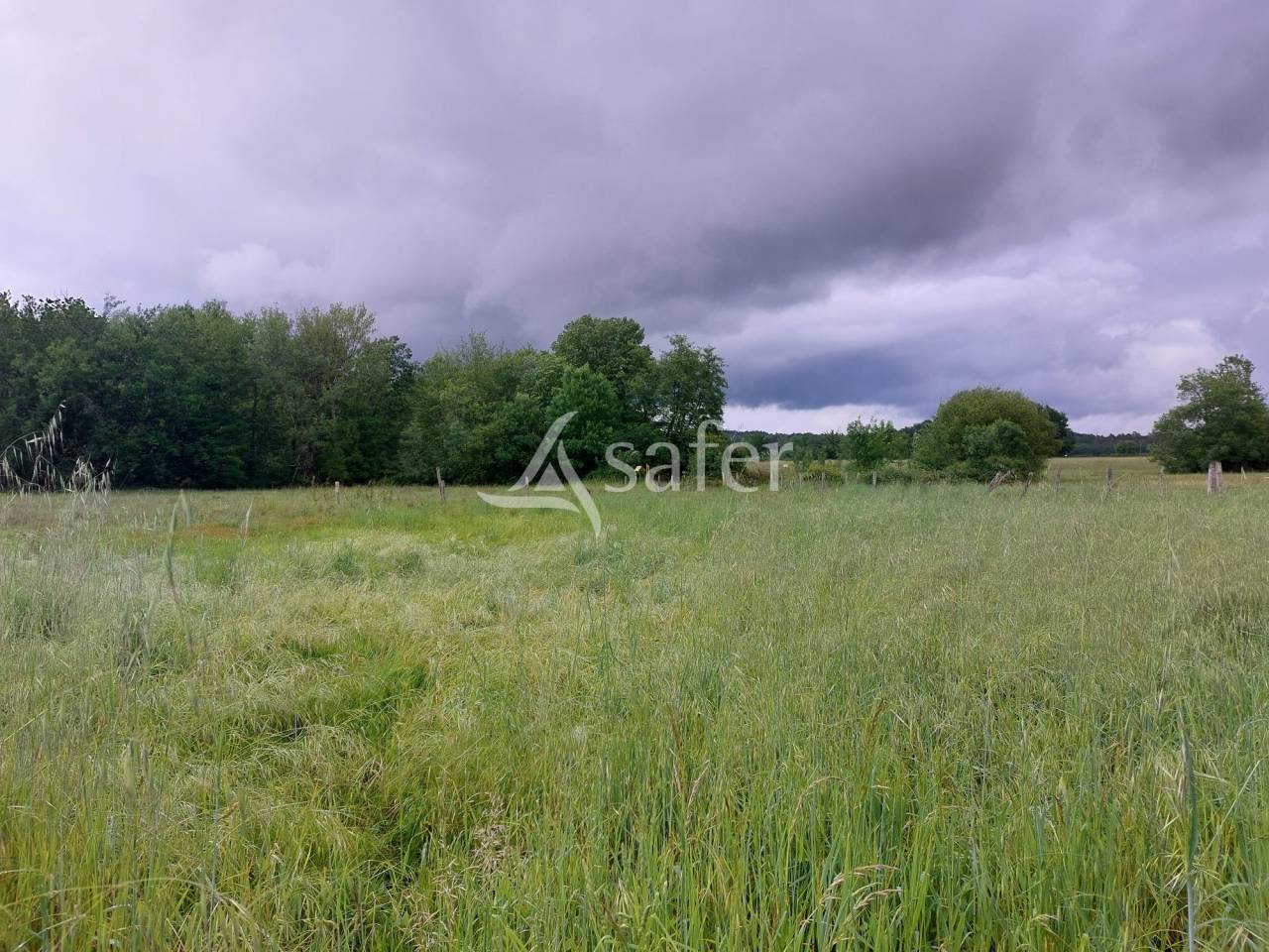 Propri&eacute;t&eacute; agricole b&acirc;tie sur 35ha, proche Gironde