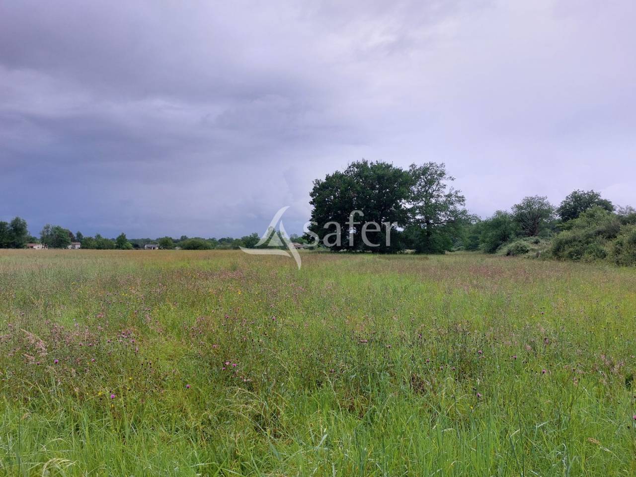 Propri&eacute;t&eacute; agricole b&acirc;tie sur 35ha, proche Gironde