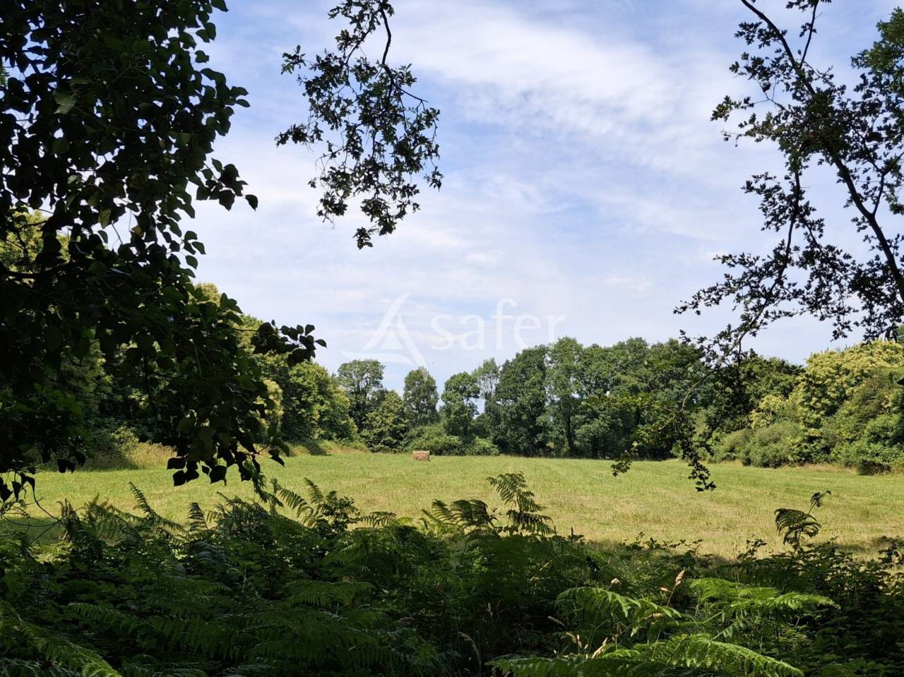 Belle demeure de caract&egrave;re avec terrains agricoles et naturels