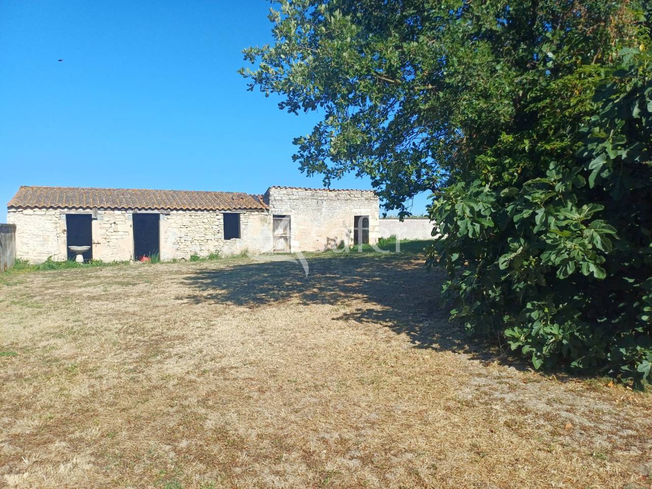 Propri&eacute;t&eacute; agricole dans le marais
