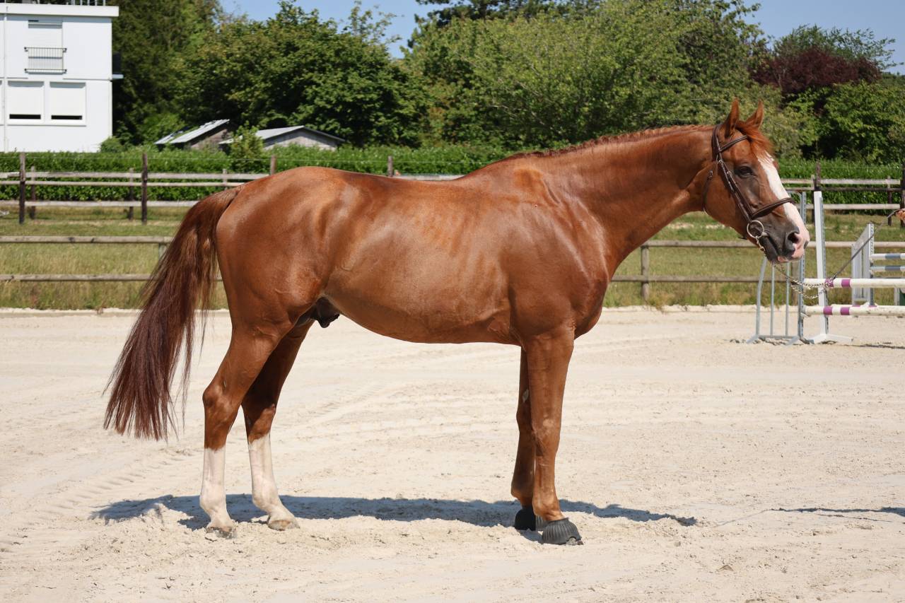 HORS SERIE DU MOULIN