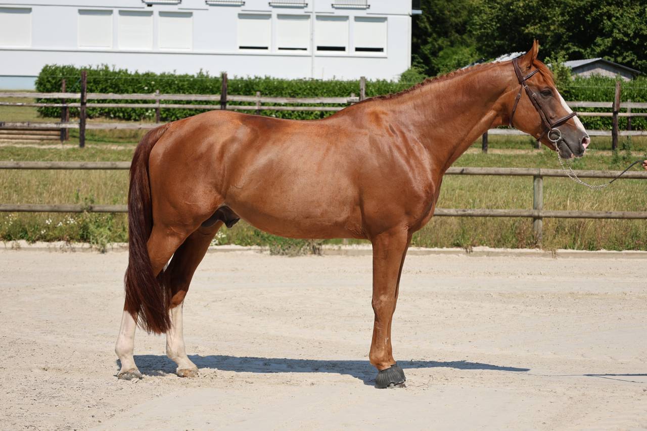 HORS SERIE DU MOULIN