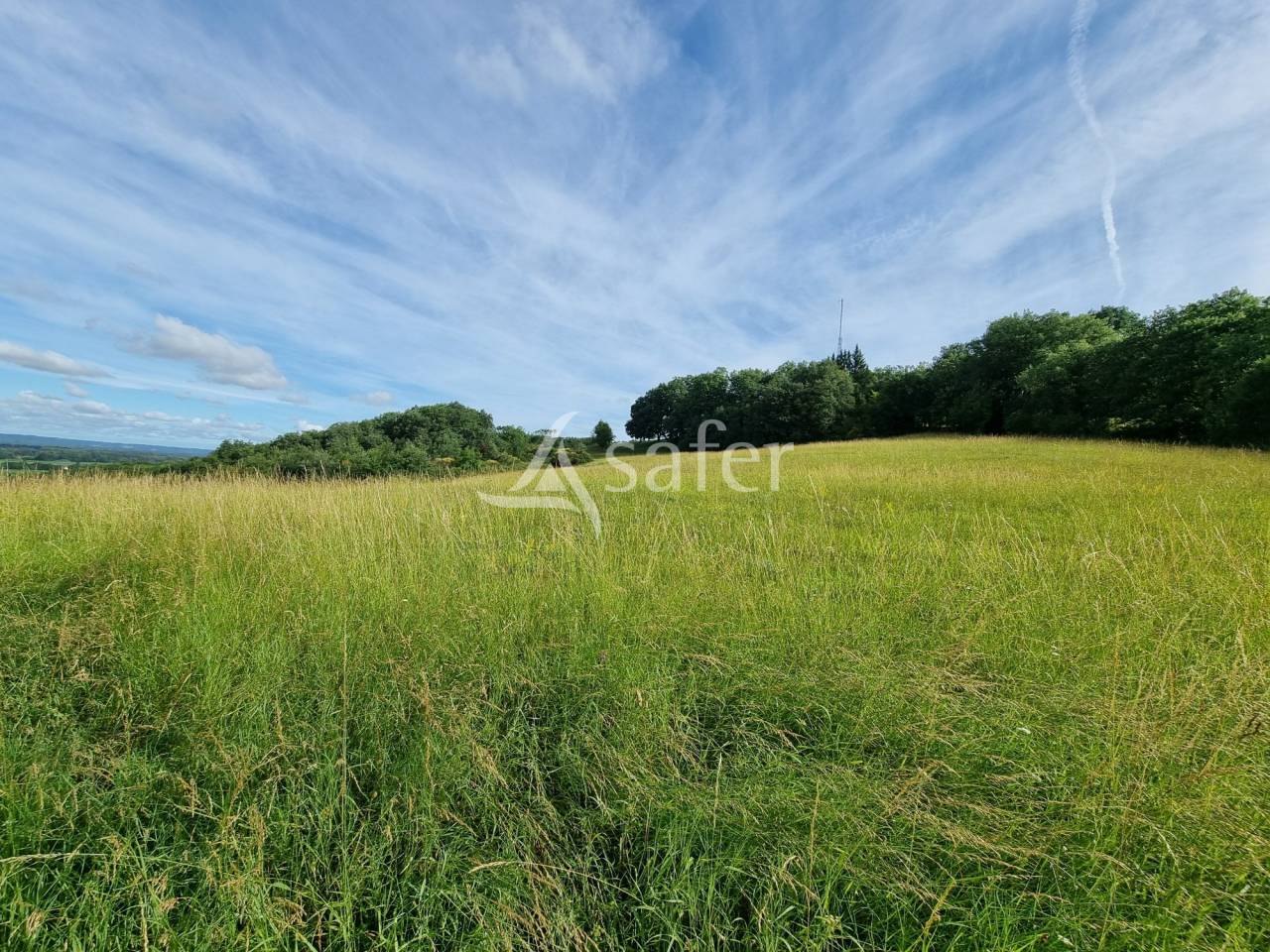 Propri&eacute;t&eacute; d'&eacute;levage sur 20 ha proche de Rabastens-de-Bigorre