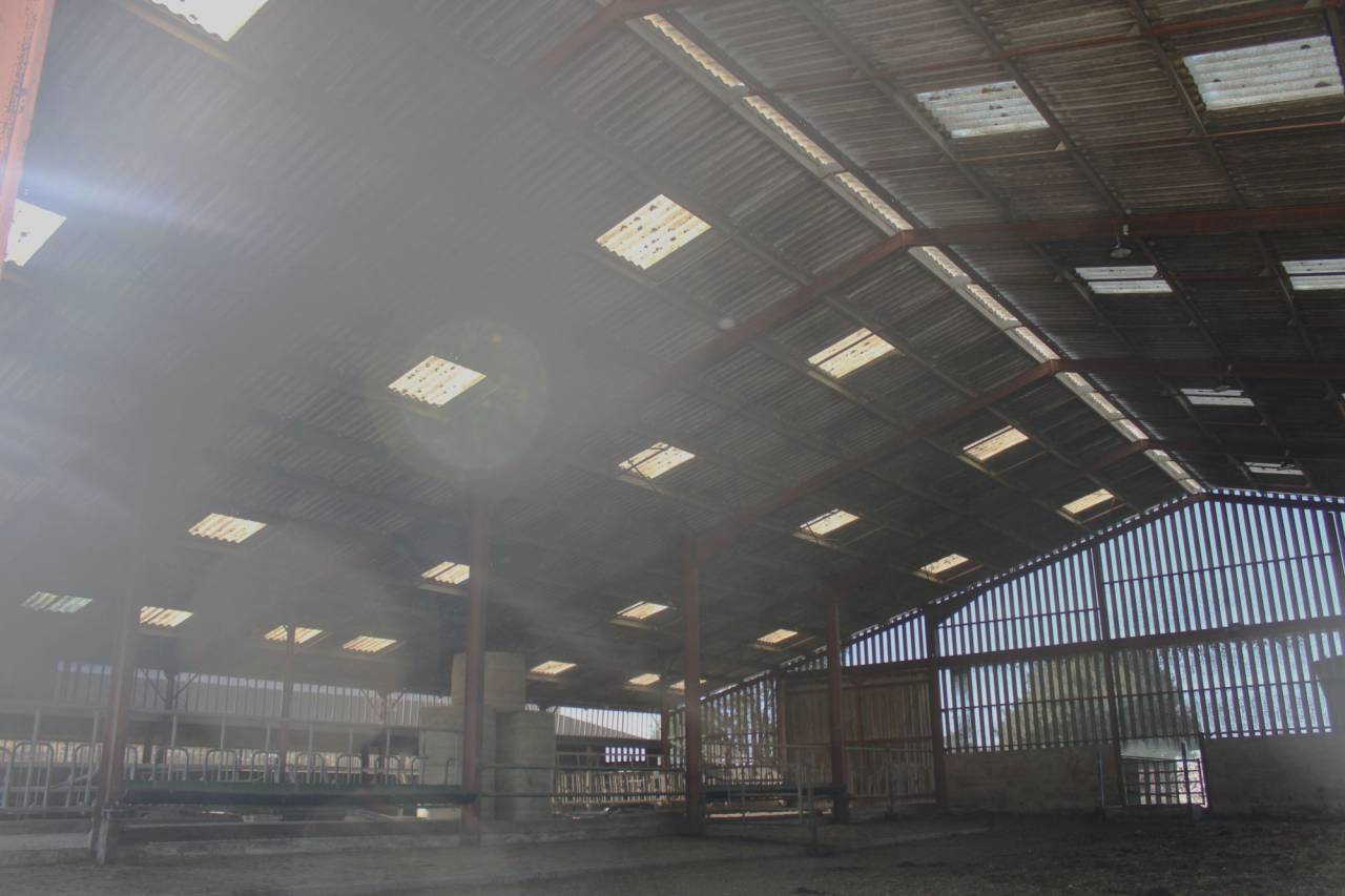 PROPRIETE DE 15 HECTARES AVEC MAISON TARN ET GARONNE