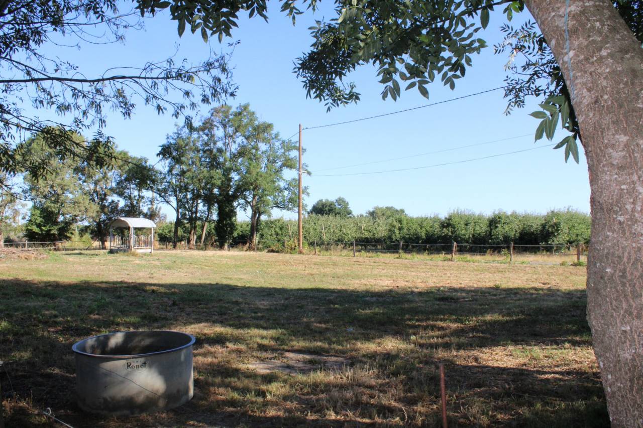 PROPRIETE DE 15 HECTARES AVEC MAISON TARN ET GARONNE