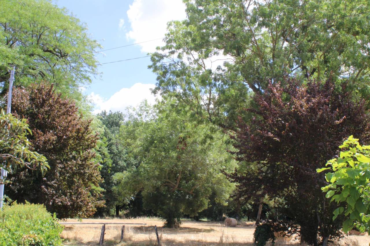 PROPRIETE DE 20 HECTARES DANS LA HAUTE  GARONNE