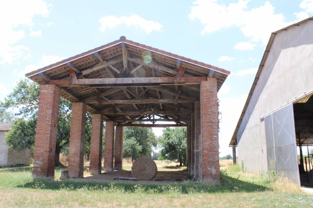 PROPRIETE DE 20 HECTARES DANS LA HAUTE  GARONNE