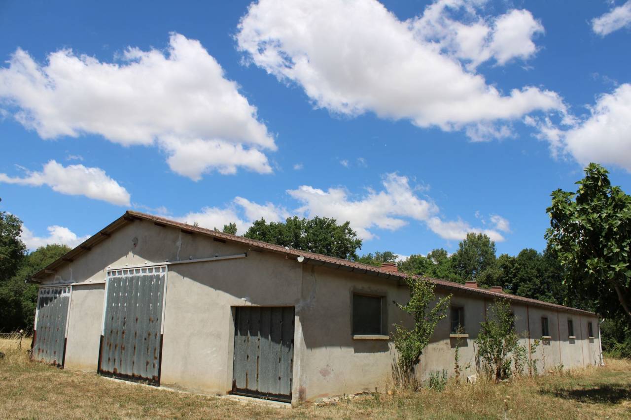 PROPRIETE DE 20 HECTARES DANS LA HAUTE  GARONNE
