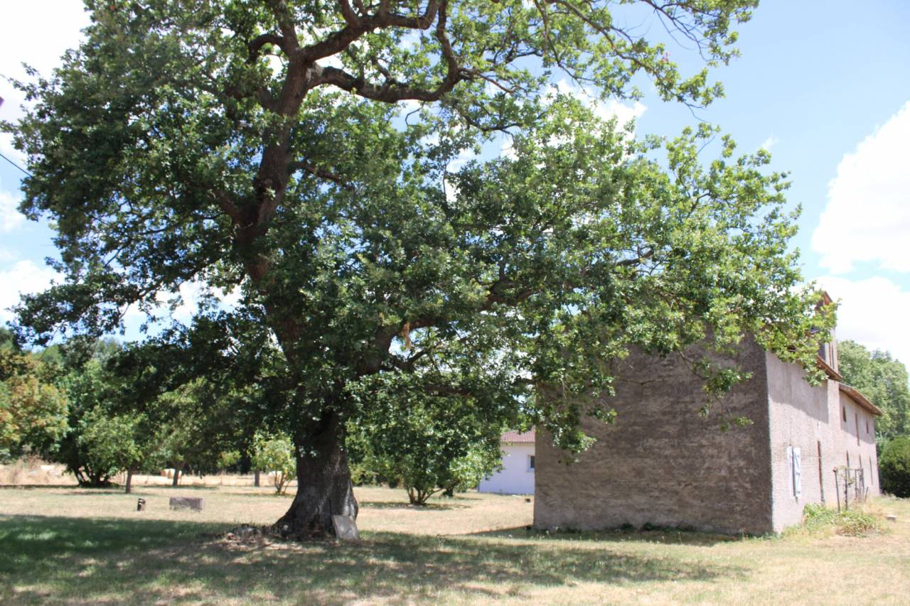 PROPRIETE DE 20 HECTARES DANS LA HAUTE  GARONNE