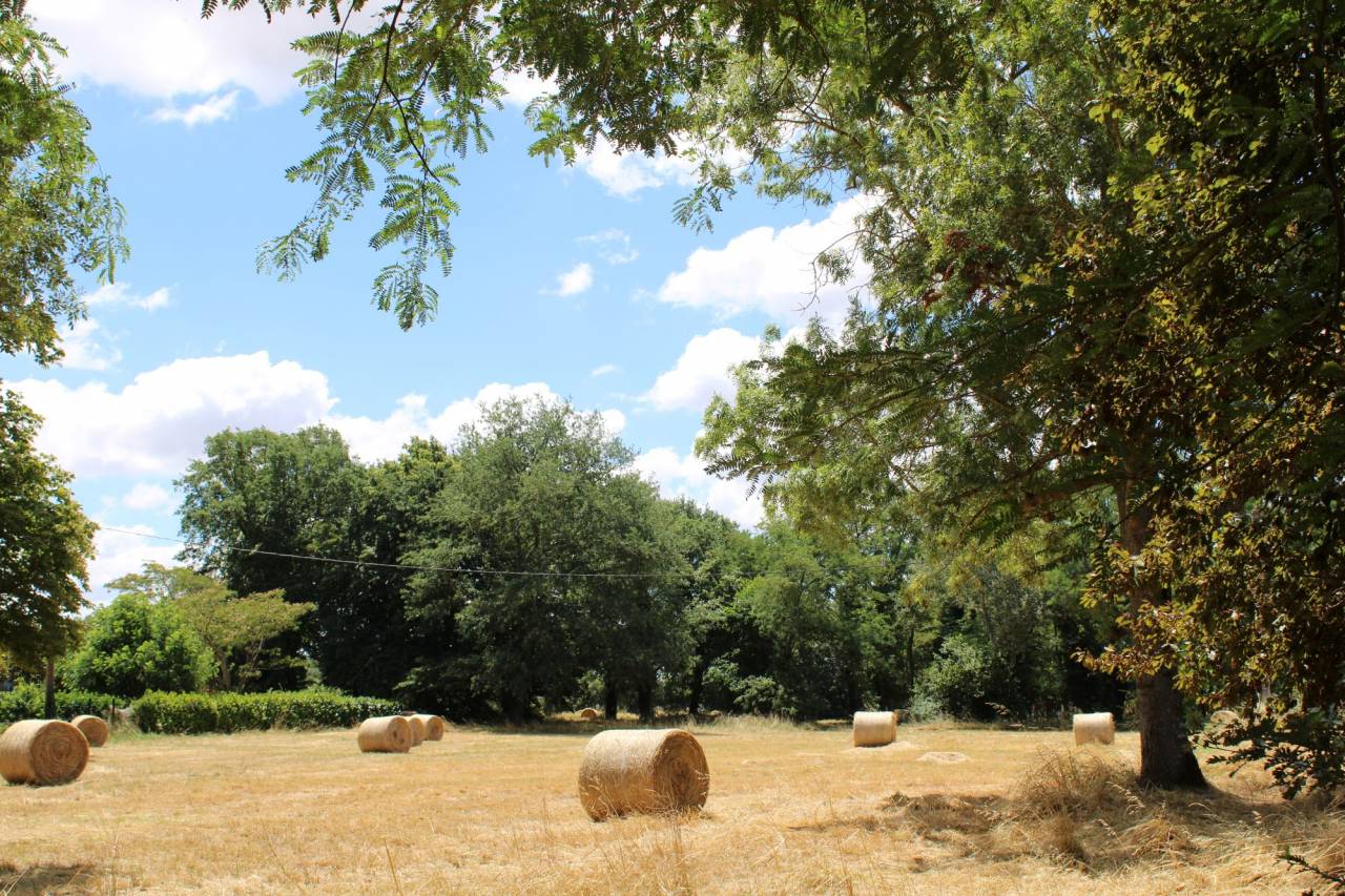 PROPRIETE DE 20 HECTARES DANS LA HAUTE  GARONNE